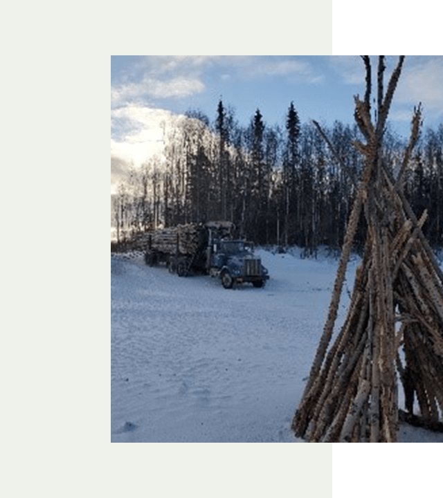 Load of wood logs in the truck