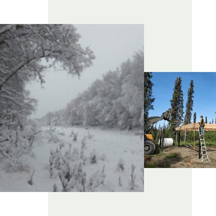 Snow and Man standing on the Ladder